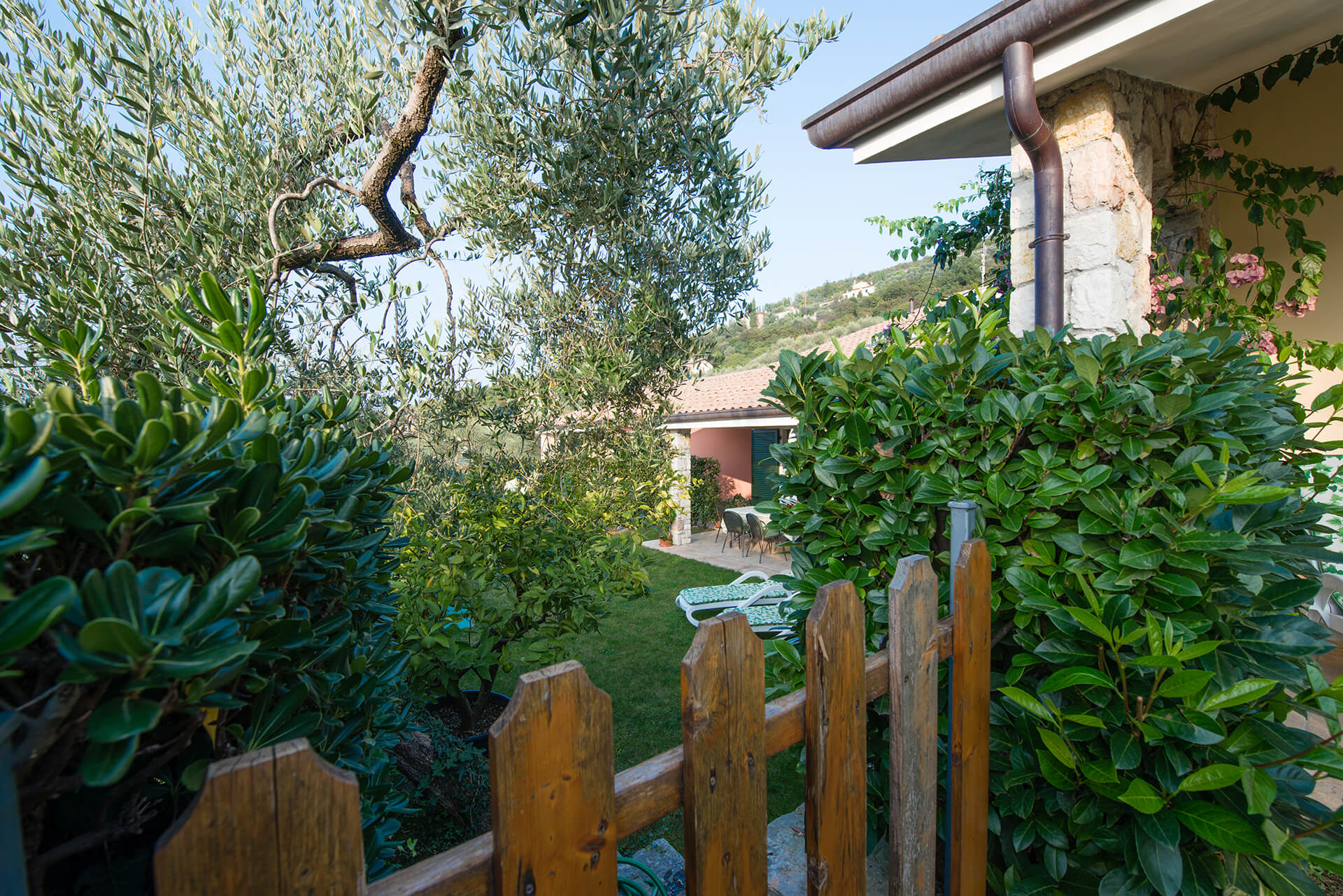 appartamento-b-canevini-giardino-8